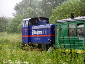 Bieszczadzka kolejka w lipcowym deszczu